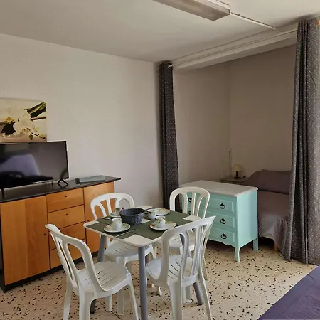 Apartment Ensoleille Avec Terrasse Et Parking, A 2 Pas De La - - Fr-1-387-169 *